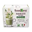 Matcha\u0020latte\u0020z\u0020\u017Ce\u0144\u002Dszeniem\u0020