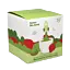 Matcha\u0020Latte\u0020Strawberry\u0020